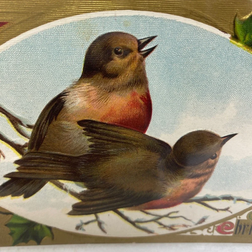 Antique 1908 Christmas‎ Postcard Two Birds In Protective Sleeve No Postmark